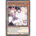 L26D-ENM02 Ash Blossom & Joyous Spring : Common Card : 1st Edition : YuGiOh TCG