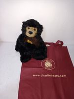 Charlie Bears Anniversary Seth CB161708  32cm Teddy With Bag Mint Condition