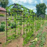 220cm Garden Arch Trellis Extra Tall Metal Tunnel Trellises Arbors with Stakes