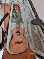 ISLANDER AC-4 CONCERT UKULELE IN NEW CONDITION & FREE STAGG CASE DELIVERY