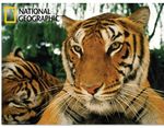 National Geographic 3D lenticular postcards