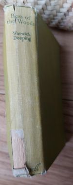 Bess of the Woods - vintage hardback by Warwick Deeping