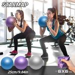 25CM Yoga Pilates Ball Fitness Balance Core Training Exercise