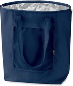 Reusable Foldable Cooler, Shopping Bag with Inner Aluminium Lining - 25L