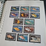 PITCAIRN ISLANDS 1984 SG 246-257 FISH (1ST SERIES)  MNH