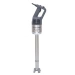 Robot Coupe Stick Blender Repair Service 
