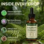Lymphoria - Lymphatic Drainage 59ml - Detox, Bloat Relief & Immune Support-HOT
