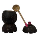 Handcrafted Coconut Shell Salt Container / Bowl