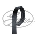 6 Rib Multi V Drive Belt 6PK1210 Gates 1340015 55567558 5750.QL 3701011EG01B