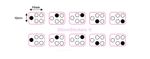 5 RING HOB STOVE STICKERS DECALS  + dot to side cooker top replacement markings 