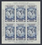 US National Stamp Expo Sheet - James A. Farley Byrd Expedition 735 MNH - 1934