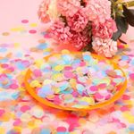 Biodegradable Wedding Paper Confetti Mix Colors Eco Tissue Paper Circle Confetti