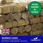 Suregreen Bamboo Canes 2.4m/8ft | 14-16mm | 100 Pack