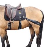 Equine Band System Dressage Core Conditioning Training Aid by Equine Balance