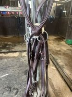 X Large Devoucoux Brown Leather Grackle Bridle