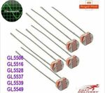 1-50 pcs 5mm  Light Dependent Resistor. Photoresistor Optoresistor LDR 6 TYPES.