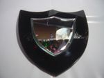 VICTORIAN SHEILD SHAPED-BLACK  GLASS MIRROR-RARE-WONDERFUL COND-BEAUTIFUL  UNIQU