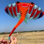 12.5M 3D Soft Ray Kite 9 Air Inlet Inflatable Large Animal Beach Professional