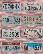JOB LOT SET OF 8 ROUGH CONDITION AMERICAN LICENSE LICENCE NUMBER PLATES #8