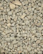 Genuine Crinoid Star Fossils  Tiny Sea Lillies For Crafts Collectors 2-10mm