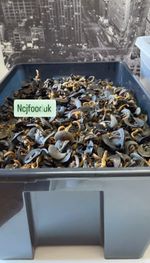 FIREWOOD SMOKED NIGERIAN SNAILS 100g