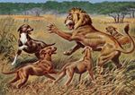RHODESIAN RIDGEBACK DOG GREETING CARD GROUP OF DOGS AND LION NOTE CARD
