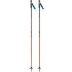 Rossignol Stove Ski Poles (Teal/Brick)