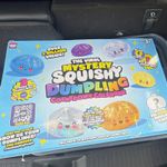 RMS Viral Mystery Squishy Dumpling Countdown Calendar Squishy Set