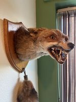 Taxidermy Fox Mask, By Graham Teasdale, This Is Not A Protected Species