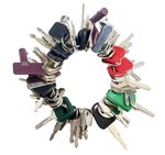55Pcs Plant Key Set Universal Plant Dumper Machine Replacement Ignition Durable