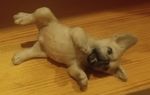 Tiny Fawn French Bulldog Puppy Ornament Dog Figurine Small Miniature