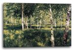 Canvas/Frames Issac Levitan - The Birkenwald