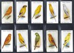PLAYER - AVIARY AND CAGE BIRDS - FULL SET OF 50 CARDS