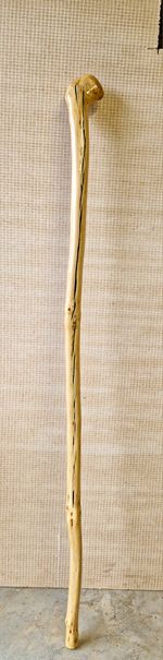 Well Crafted Holly One Piece Stick. This Is A Really Lovely Stick.