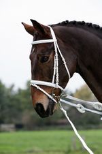 Headboard Tensioners And Vaulting Long Strap