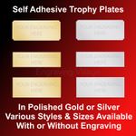 ENGRAVED TROPHY PLATE / METAL NAME PLAQUE / SPORTS AWARD / PICTURE FRAME / LABEL