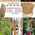 Heavy Duty Bamboo Garden Canes Strong Professional Garden Plant Support Sticks