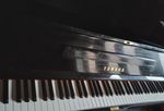 Yamaha U3 Upright  black gloss Piano