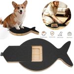 Dog Nail File Toy Dog Nail Scratch Board File Durable Enduring with Treat Box