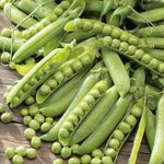 Pea - Meteor - 250 Seeds