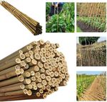 50 x Bamboo Canes Garden Plant Support Thick Strong Sticks 2ft-3ft-4ft-5ft-6Ft