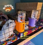 Cage Mounted Water Bottle Holder for Rabbit, Guinea Pig, Rat & Small Animals