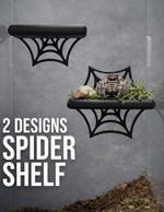 Jumping Spider Shelf | Spider Web Ledge for Jumping Spider Enclosure