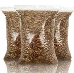 10L UK Dried Mealworms – Premium Quality, Freshly Prepared Daily - Sealed Bag
