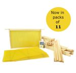 BS DN4 Brood Frame and Foundation Pack of 11 with Free Pins for beekeeping