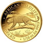 2026 Leopard Gold Coin - African Wildlife - Somalia - 1/10 oz BU
