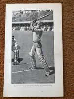 1896 small print - crickets heavy hitters ! bonnor stood well at the crease 