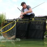 Nufish Triple Keepnet 2.5 Meter Pack - Course Carp Match Fishing - 3 Net Bundle