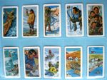THE ARTIC - BROOKE BOND CANADA -  SERIES No.16 - SET OF 48 CARDS - 1971 - VG