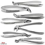 Dental Extracting Surgical Upper Lower Molars Tooth Removal Extraction Forceps